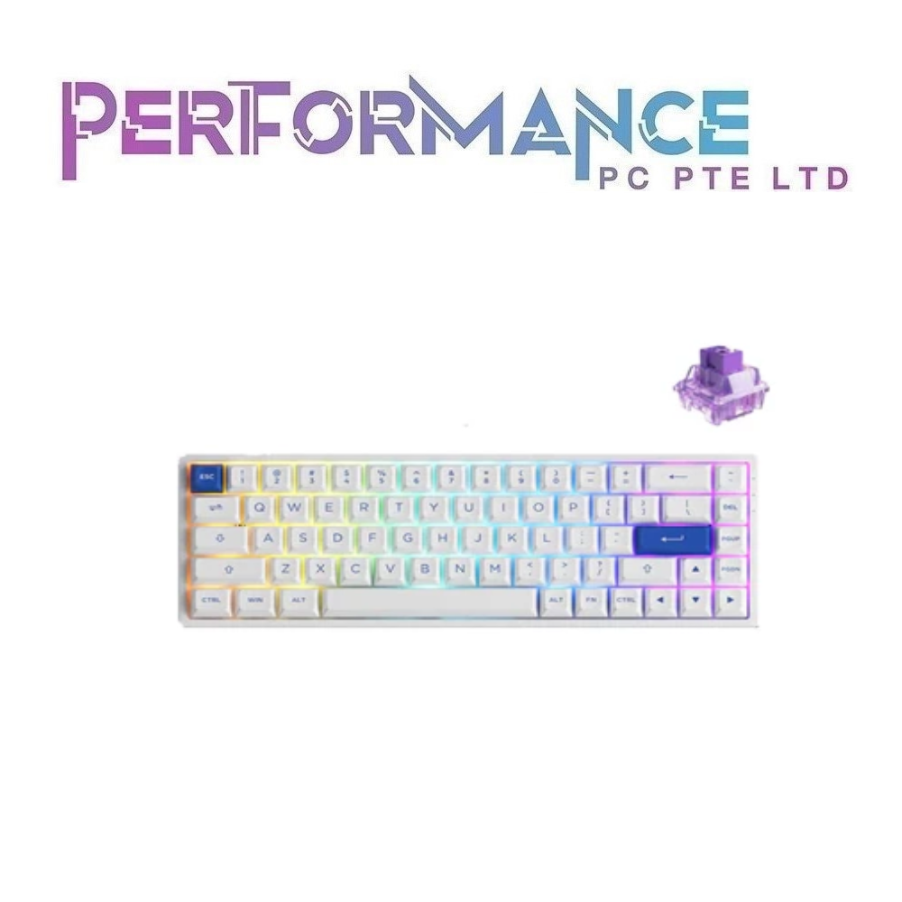 AKKO Blue on White 3068B Plus Multi-Mode Akko Jelly Purple (1 YEARS WARRANTY BY TECH DYNAMIC PTE LTD)