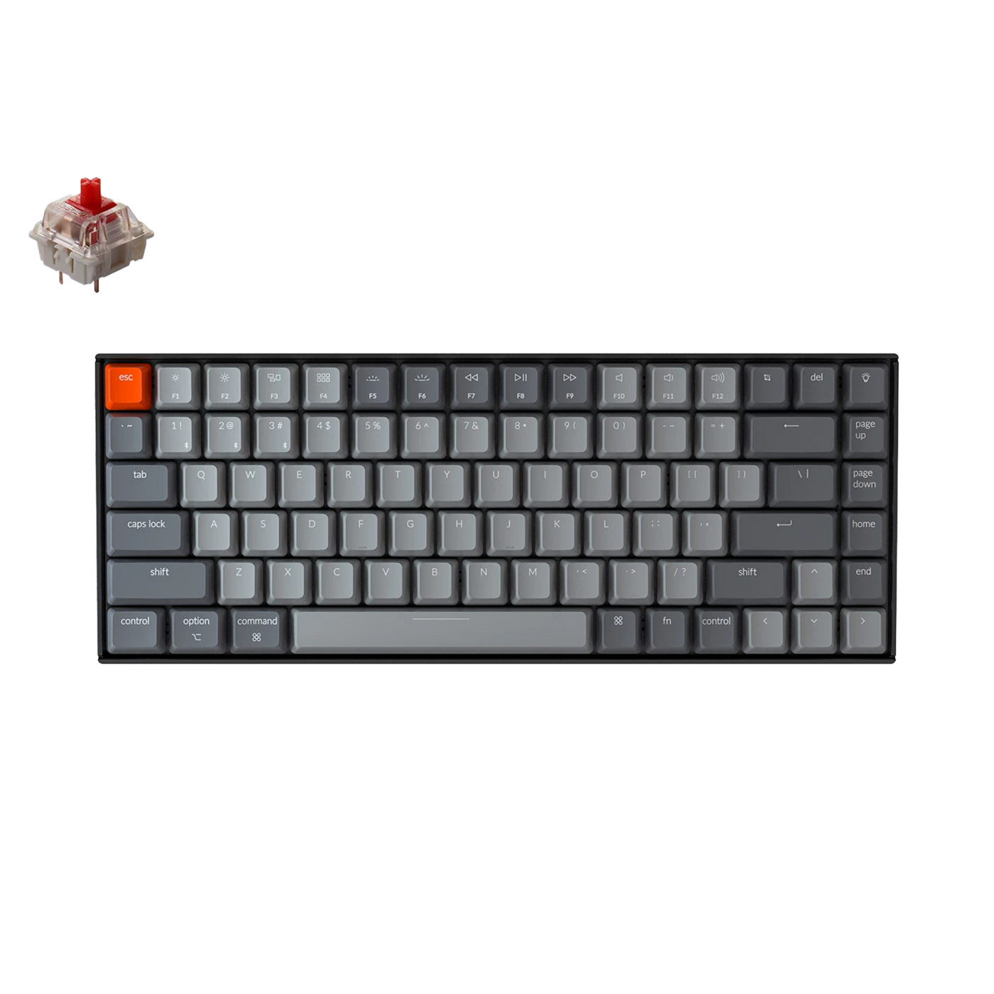 Keychron K2 v2 84 Key White LED Gateron Brown/Red/Blue Switch (1 YEAR WARRANTY BY TECH DYNAMIC PTE LTD)